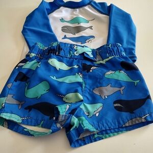 Cat and Jack Infant Long Sleeve Rashguard Set